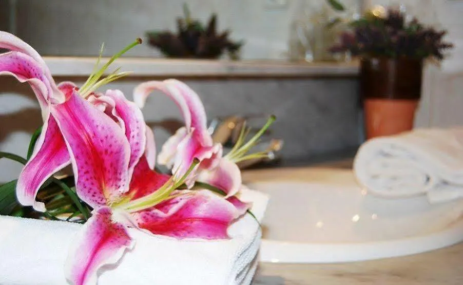 Alexandra Aparthotel Benstarhotelgroup Tarragona Hotel